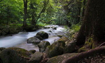 Картинка природа реки озера лес ручей камни