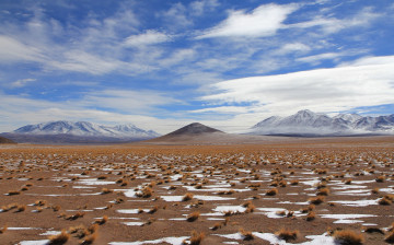 Картинка природа пустыни пустыня кочки снег горы трава