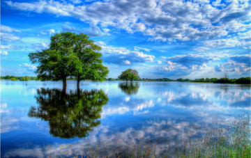 обоя природа, реки, озера, облака, отражение, красота, дерево, озеро