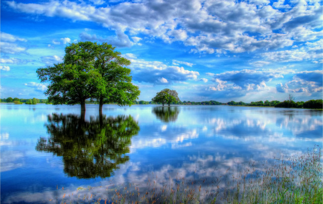 Обои картинки фото природа, реки, озера, облака, отражение, красота, дерево, озеро