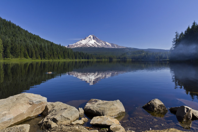 Обои картинки фото trillium, lake, oregon, природа, реки, озера, mount, hood, озеро, триллиум, орегон, гора, маунт-худ, отражение, камни, лес, пейзаж