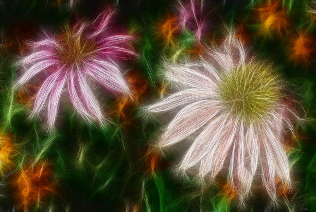 Обои картинки фото 3д, графика, flowers, цветы, лепестки