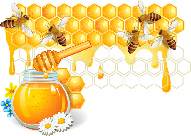 Обои картинки фото векторная графика, еда, пчелы, мед