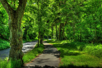 Картинка природа парк wetzlar германия трава деревья зелень тротуар дорога