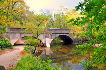 Картинка природа парк деревья мост река
