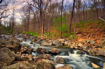 Картинка природа реки озера поток осень лес камни ручей река