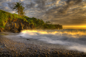 Картинка природа тропики пальмы пляж прибой океан