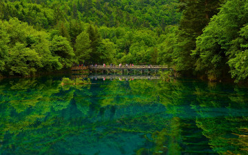 Картинка природа реки озера отражение лес china sichuan мост озеро заповедник китай сычуань цзючжайгоу jiuzhaigou