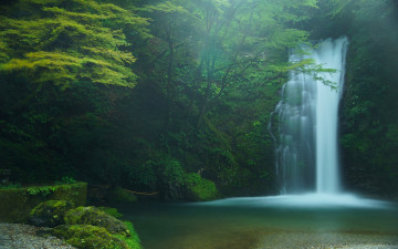 Картинка природа водопады japan водопад шираито fujinomiya shiraito falls деревья лес Япония фудзиномия