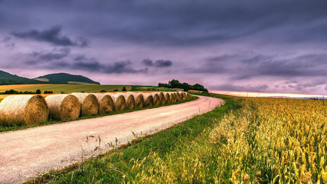 Обои картинки фото природа, дороги, тюки, небо, пшеница, сено, поле, дорога
