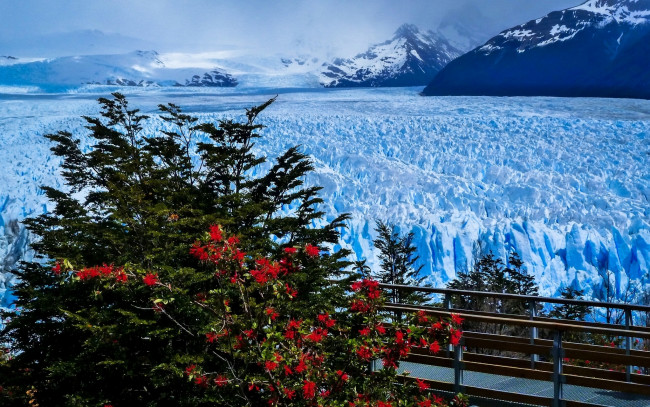 Обои картинки фото природа, айсберги и ледники, santa, cruz, province, ледник, анды, патагония, мост, горы, perito, moreno, glacier, andes, patagonia, argentina, аргентина, перито-морено