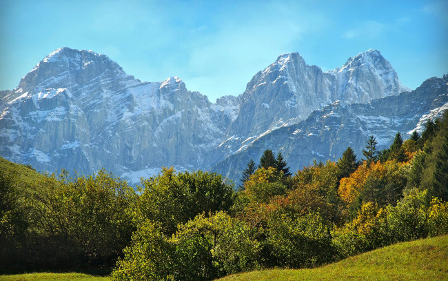Обои картинки фото природа, горы, деревья, трава, кусты, скалы, снежные, италия, molveno, солнце