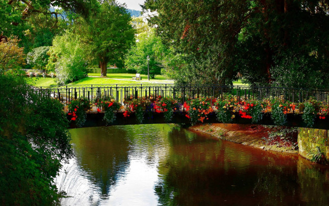 Обои картинки фото природа, парк, цветы, водоем, мост
