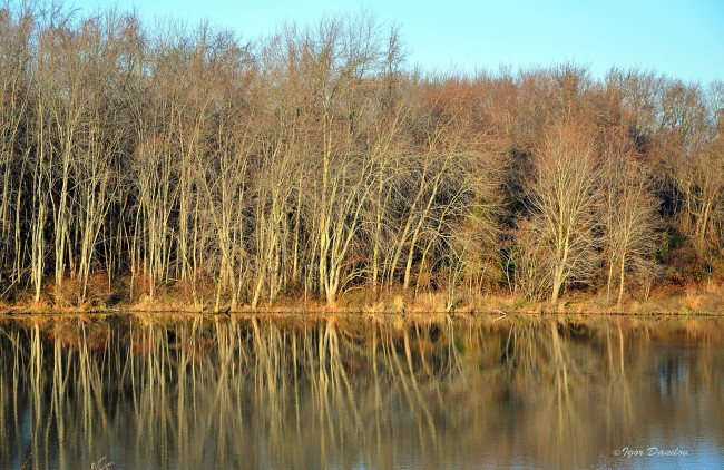Обои картинки фото природа, реки, озера, река, небо, отражение, деревья
