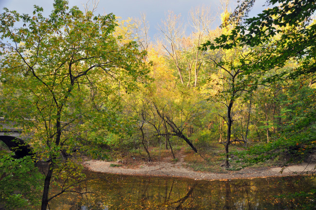 Обои картинки фото природа, реки, озера, река, деревья, осень, лес