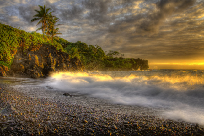 Обои картинки фото природа, тропики, пальмы, пляж, прибой, океан