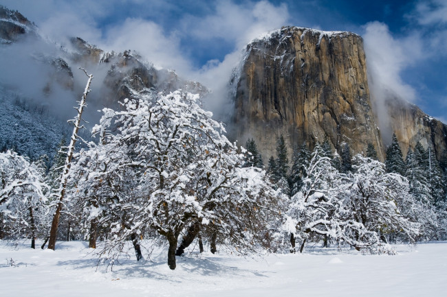 Обои картинки фото природа, зима, национальный, парк, йосемити, калифорния, california, гора, эль-капитан, горы, деревья, снег, yosemite, national, park, el, capitan
