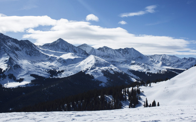 Обои картинки фото природа, горы, снег, деревья, вершины