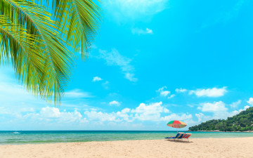 Картинка природа побережье небо seascape sand tropical лето шезлонг sea paradise пальмы берег palms beach summer волны песок море пляж beautiful