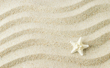 обоя разное, ракушки,  кораллы,  декоративные и spa-камни, background, песок, starfish, texture, sand, marine, beach, морская, звезда, фон
