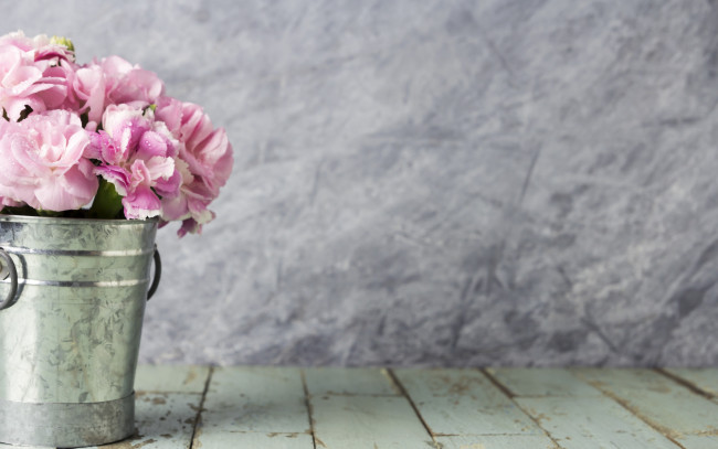Обои картинки фото цветы, гвоздики, flowers, ведро, wood, розовые, beautiful, vintage, romantic, лепестки, pink