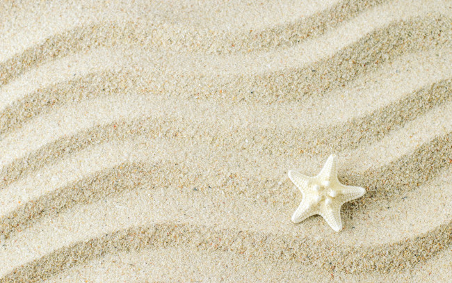 Обои картинки фото разное, ракушки,  кораллы,  декоративные и spa-камни, background, песок, starfish, texture, sand, marine, beach, морская, звезда, фон