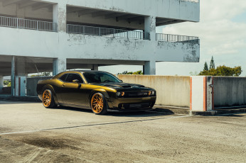 обоя автомобили, dodge, muscle, car, hellcat, challenger