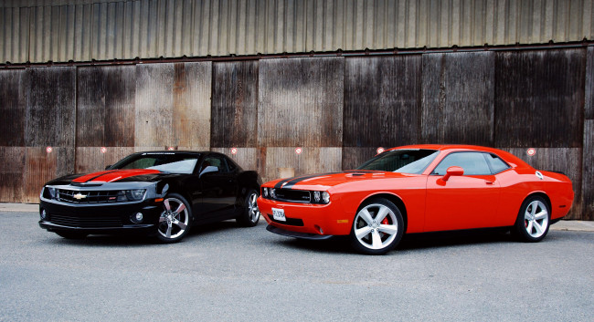 Обои картинки фото автомобили, разные, вместе, muscle