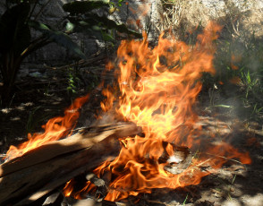 Картинка природа огонь костер