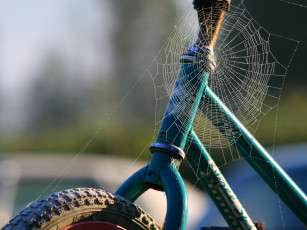 Картинка разное другое паутина велосипед