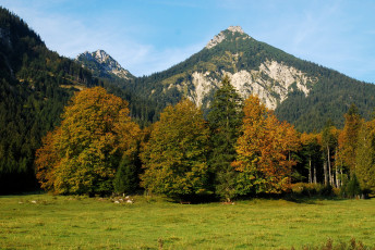 Картинка австрия альпы природа горы лужайка лес