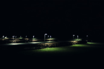 Картинка ночь разное осветительные приборы кусты парк фонари