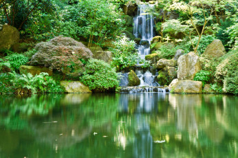 Картинка portland japanese gardens waterfall природа парк река водопад растения
