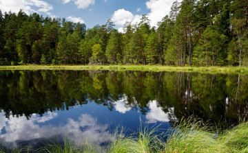 Картинка poland природа реки озера польша река лес деревья отражение
