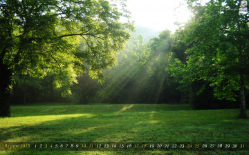 обоя календари, природа, свет, деревья