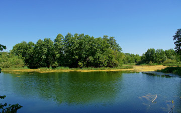 Картинка природа реки озера озеро деревья