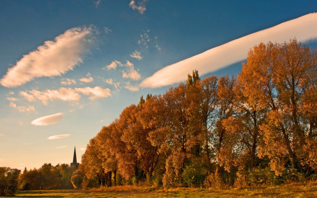 Обои картинки фото attenborough, nottinghamshire, england, природа, деревья, аттенборо, осень, англия, ноттингемшир