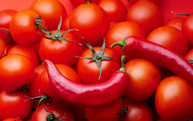 Обои картинки фото еда, овощи, помидоры, перец, томаты