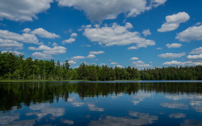 Обои картинки фото m&, 246, ljeryd, sweden, природа, реки, озера, швеция, moljeryd, отражение, озеро, лес, облака