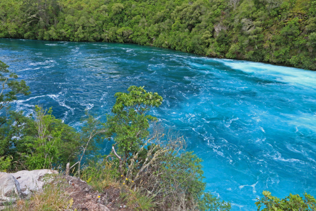 Обои картинки фото new, zealand, waikato, river, природа, реки, озера, растения, река, берег