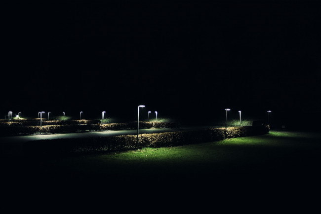 Обои картинки фото ночь, разное, осветительные, приборы, кусты, парк, фонари
