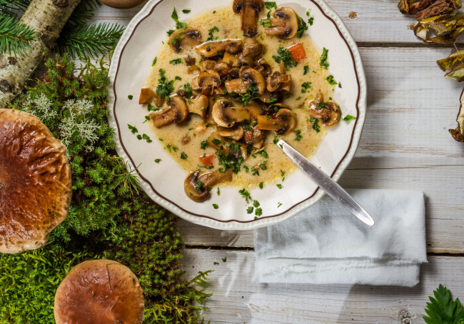 Обои картинки фото еда, первые, блюда, мох, грибной, суп, грибы