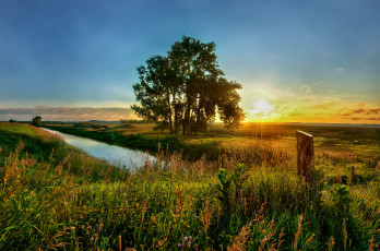 Картинка природа восходы закаты река лето закат трава солнце вечер дерево поле