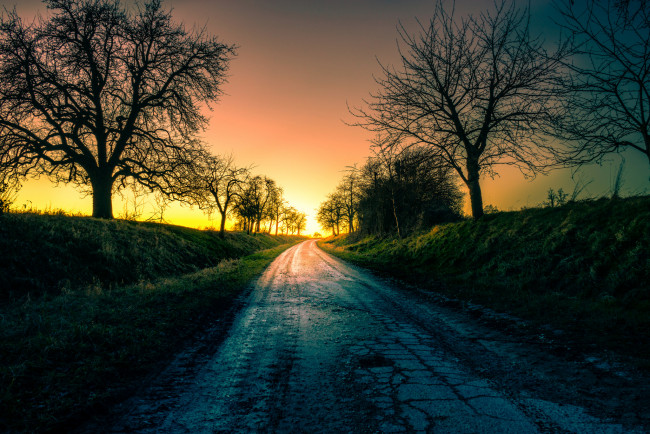 Обои картинки фото природа, дороги, дорога, осень, мокро, деревья, закат, вечер