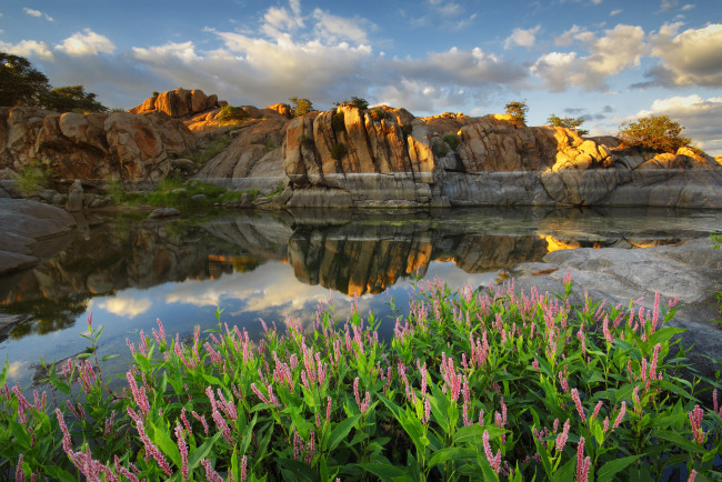 Обои картинки фото природа, реки, озера, цветы, облака, отражение, сша, озеро, скалы, аризона, watson, lake, arizona, prescott