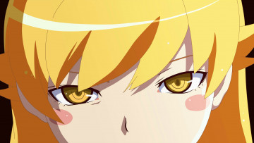 Картинка аниме bakemonogatari взгляд