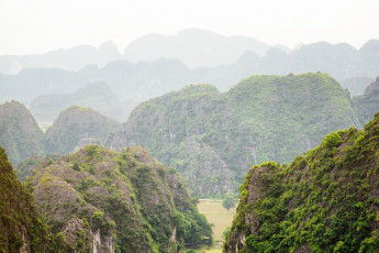 Картинка вьетнам природа горы растения