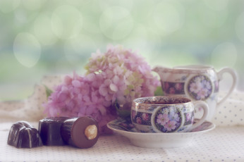 Картинка еда конфеты +шоколад +сладости чашка шоколад чай гортензия натюрморт цветы