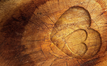 Картинка праздничные день+святого+валентина +сердечки +любовь древесина сердце дерево