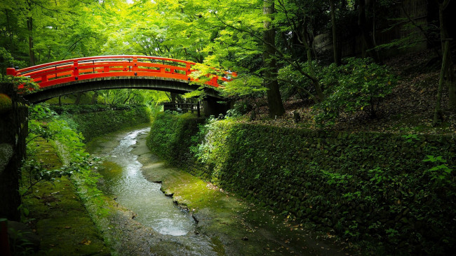 Обои картинки фото природа, реки, озера, канал, Япония, парк, мост, вода, деревья